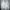 Adidas Gorpcore Sportswear Track Jacket Pria White