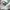 Adidas Gorpcore Sportswear Track jacket Pria white photo 4