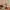 Love Bonito Sportswear Bralette Wanita green photo 1