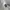 Stussy Streetwear Luxury Hat Pria white black photo 2