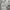 Lululemon Sportswear Bralette Wanita gray photo 5