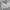 Lululemon Sportswear Bralette Wanita gray photo 1