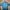 Harley Davidson Biker Casual Casual Shirt Pria Blue