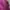 Luxury Minimalist Blazer Wanita burgundy photo 3