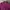 Luxury Minimalist Blazer Wanita burgundy photo 4