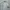 Polham Streetwear Sportswear Sweater Pria white gray photo 2