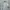 Polham Streetwear Sportswear Sweater Pria White Gray