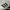 Adidas Streetwear Sneakers Pria white black photo 6