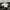 Adidas Streetwear Sneakers Pria white black photo 1