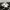 Adidas Streetwear Sneakers Pria White Black