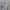 Streetwear Casual Sweatshirt Pria white gray photo 1