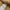Guess Streetwear Casual Fur coat Wanita tan photo 4