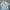 Shein Luxury Minimalist Shirt Wanita white photo 1