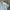 Shein Luxury Minimalist Shirt Wanita white photo 2