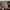 VANS Vintage Streetwear Sneakers Pria brown gray photo 6