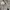 Polo Ralph Lauren Casual Hoody Pria gray photo 4