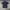 Fred Perry Streetwear Casual Polo shirt Pria navy photo 1