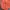 Sportswear Windbreaker Pria orange photo 5