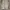 Dickies Skater Casual pants Pria khaki photo 2