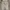 Dickies Skater Casual pants Pria khaki photo 1
