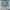 Hard Rock Cafe Vintage Denim jacket Pria blue photo 1