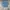 Hard Rock Cafe Vintage Denim jacket Pria blue photo 2