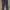 Dickies Skater Casual pants Pria navy photo 1