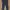 Dickies Skater Casual Pants Pria Navy