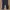 Dickies Skater Casual pants Pria navy photo 2