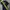 Polo Ralph Lauren Casual Polo shirt Pria navy photo 1
