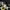 Nike Air Jordan Streetwear Sneakers Pria Yellow