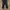 Dickies Skater Casual pants Pria black photo 1