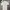 Casual Polo shirt Pria white photo 2