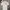 Casual Polo shirt Pria white photo 1
