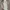 Dickies Skater Casual pants Pria khaki photo 1