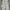 Dickies Skater Casual pants Pria khaki photo 3