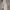 Dickies Skater Casual pants Pria khaki photo 1