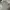 Louis Vuitton Luxury Polo shirt Pria gray photo 2