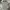 Louis Vuitton Luxury Polo shirt Pria gray photo 1