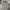 Louis Vuitton Luxury Polo Shirt Pria Gray