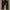 Dickies Skater Casual pants Pria black photo 2