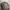 Supreme Streetwear Luxury Hat Pria brown black photo 4
