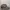 Supreme Streetwear Luxury Hat Pria brown black photo 1