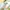 Angel Blue Fairy Maxi dress Wanita blue photo 6