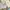 Angel Blue Fairy Maxi dress Wanita blue photo 8