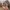 Carhartt Streetwear Casual Hat Pria multicolor photo 2