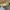 Reebok Sportswear Casual Sneakers Pria green photo 8