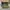 Reebok Sportswear Casual Sneakers Pria green photo 2