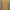 Hush Puppies Casual Casual dress Wanita yellow photo 1