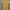 Hush Puppies Casual Casual Dress Wanita Yellow